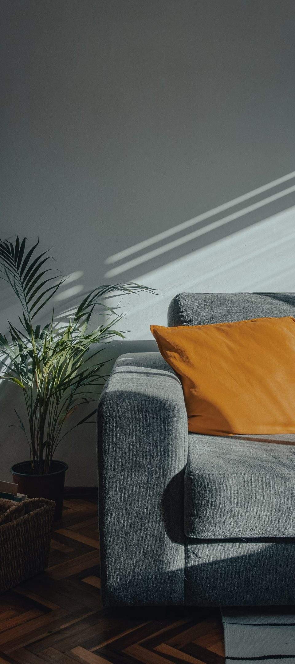 The Fan & Lights you deserve so much